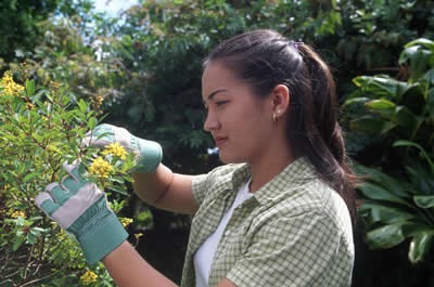 Gardening Spring Chore Checklist