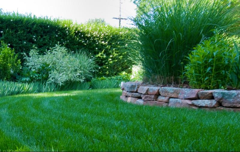Grass Clippings - Good or Bad - shady area