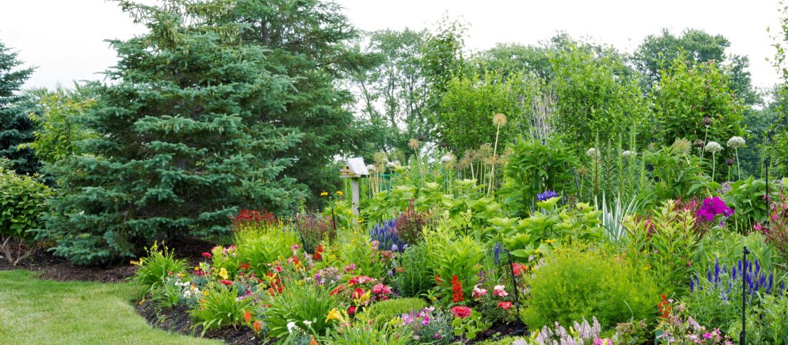 Garden Design Plan For Year Round Color, How To Plan A Year Round Flower Garden